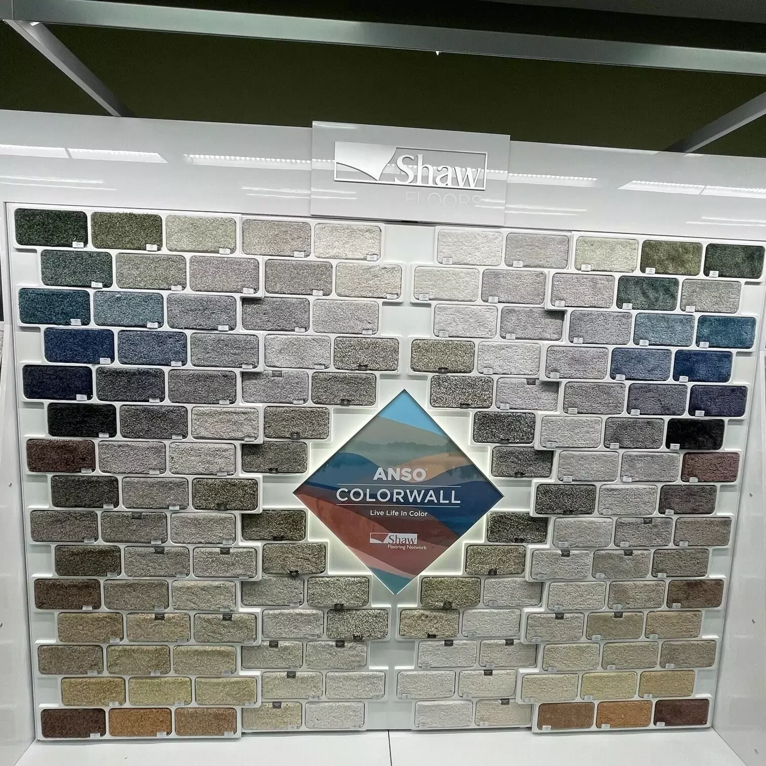 the-carpet-gallery-shaw-color-wall-display-picture Carpet samples | The Carpet Gallery